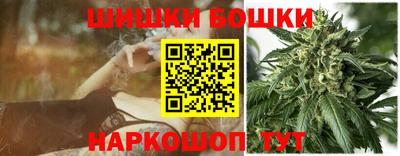 МДПВ Лесосибирск