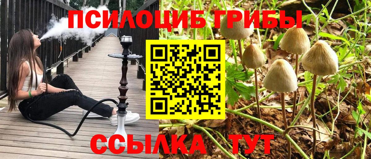 Галлюциногенные грибы прущие грибы  Вход с VPN  Иваново 